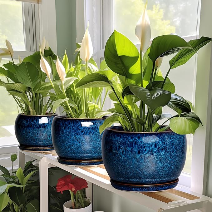 SQOWL Ceramic Planter 8 Inch - Pot for Indoor Outdoor Plants Round Ceramic Plant Pot with Drainage Hole and Saucer Modern Flower Pot Glazed Blue SQOWL