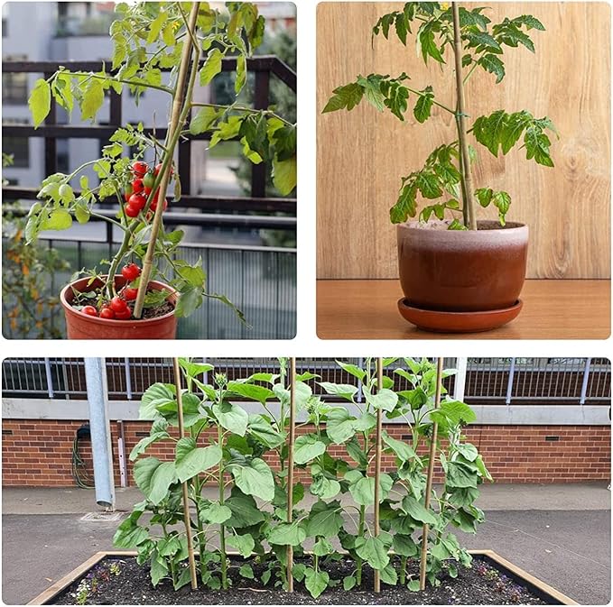 15pcs 3/4" D Thicker Heavy Duty Bamboo Stakes, 7FT Plant Stakes, Natural Garden Stakes for Tomato, Bean, Flowers,Trees Potted and Climbing Plant Support Jollybower