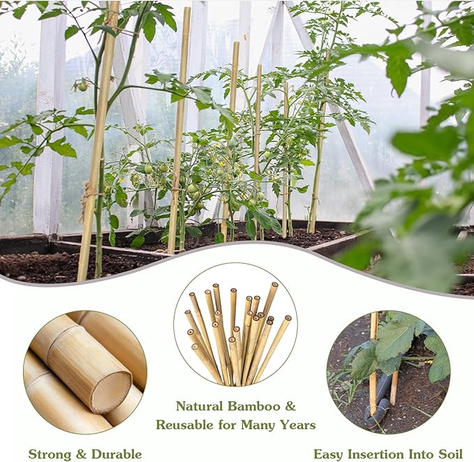 Plant Stakes 16inch, 20Pcs Natural Bamboo Sticks Garden Stakes, HAINANSTRY Plant Support Stakes for Indoor & Outdoor Plants, Orchid Tomato Vegetable Stakes for Garden HAINANSTRY