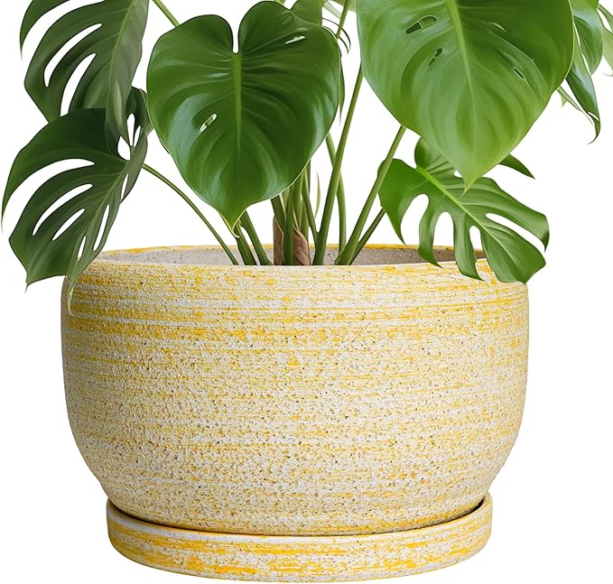 SQOWL Ceramic Planters for Indoor Plants - 10 Inch Plant Pot with Drainage Hole and Saucer, Round Ceramic Flower Pot Outdoor, Decorative Large Planter, Office Decor, Gifts for Women Men, Yellow SQOWL