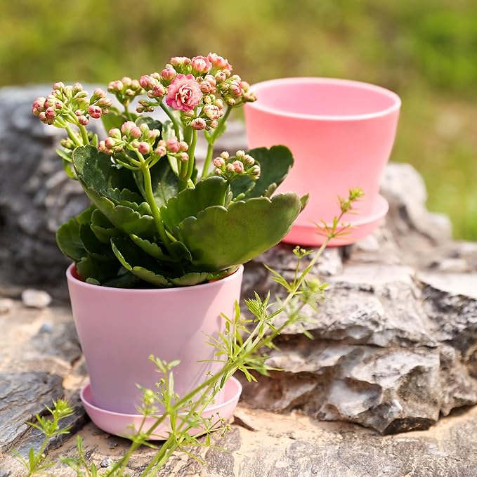 TDHDIKE 10 Pcs Plastic Planters Indoor Flower Plant Pots, Mini Flower Seedlings Nursery Pot/Planter/Flower Pot with Pallet, Modern Decorative Gardening Containers (Pink) TDHDIKE