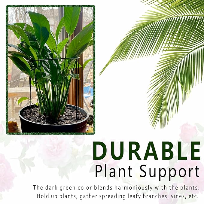 6 Pack Plant Support Stakes, 15.8" Half Round Metal Garden Plant Supports for Indoor Plants, Green Plant Cage Ring for Monstera, Peony, Hydrangea, Potted Plant Holder Sticks (10" Wide) Soupiar