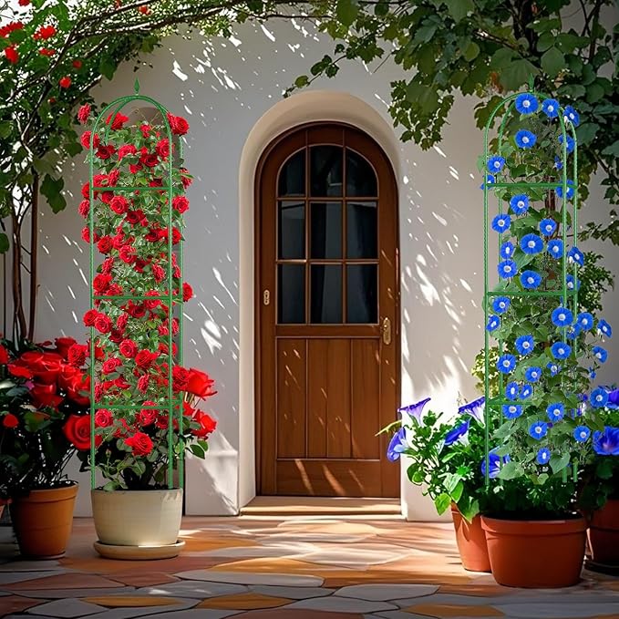 Garden Trellis for Climbing Plants, Tomato Cage, Rose, Flowers, Grape, Pea, Cucumber Trellis, Rustproof Plastic Coated Metal Plant Support for Potted Plants Indoor Outdoor - 2PC Plant Trellis CLFUN