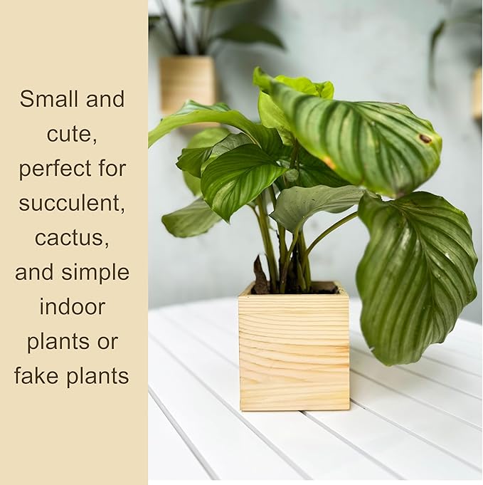 LaLaGreen Wooden Planter Box for Plants (4x4 Inch, 6 Pack) Small Square Wall Planters for Indoor Plant, Natural Wood Hanging Flower Boxes Herb Planter Table Centerpiece Modern Home Garden Office Decor L%C3%A1L%C3%A1Green