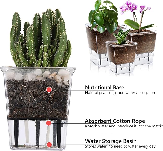 Self Watering Pots Set, 3 Pack 5 Inch for Indoor Plants, Clear Nursery Planter With Deep Reservoir for Spider Plant, Orchid, African Violet IWNTWY