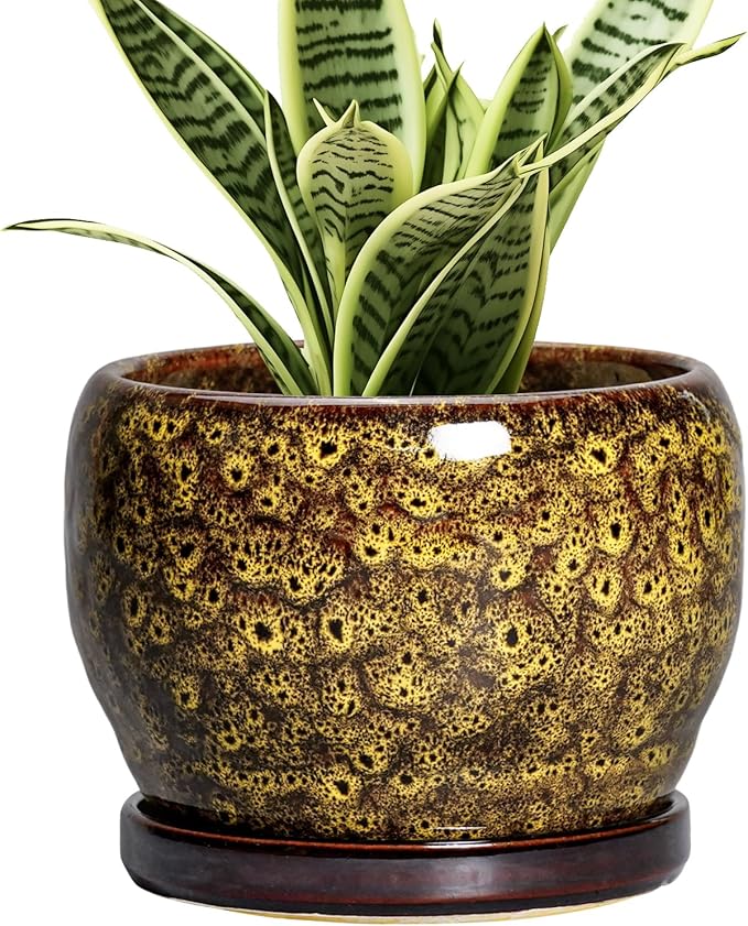 SQOWL 6 Inch Plant Pot - Ceramic Flower Pots with Drainage Hole and Saucer, Ceramic Planter for Indoor Plants Outdoor, Round Decorative Small Planter, Table Desk Decor, Housewarming Gifts, Yellow SQOWL