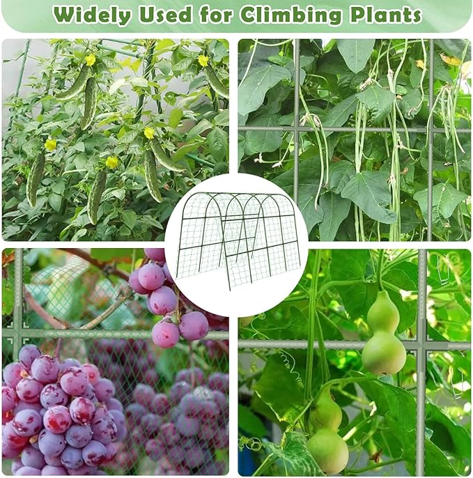 Cucumber Trellis for Raised Bed, Large Size Garden Arch Trellis for Climbing Plants Outdoor, Metal Garden Trellis for Spring Vegetables, Cucumber Trelli for Tomato, Bean, Pea, Grape, Plant tetutor