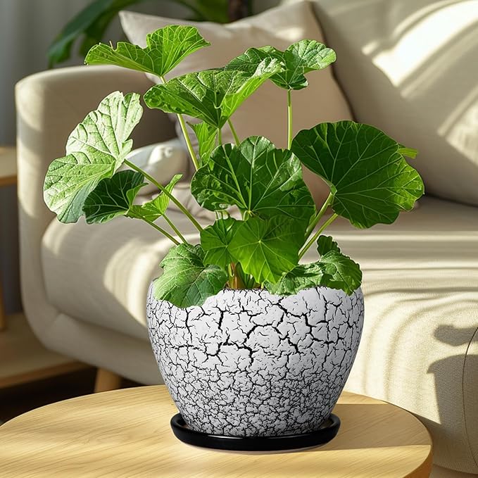 Ceramic Plant Pot 8 Inch - Ceramic Planter for Indoor Plants, Round Flower Pot with Drainage Hole and Saucer, Glaze White and Black Ceramicfor