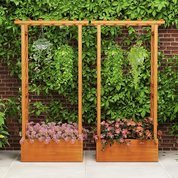 Giantex Set of 2 Raised Garden Bed with 2-Sided Trellis & Hanging Roof, Fir Wood Planter Box w/Drainage Holes, Bottom Gaps, Freestanding Garden Planter for Flowers Herbs Climbing Vines (31"x12.5"x60") Giantex