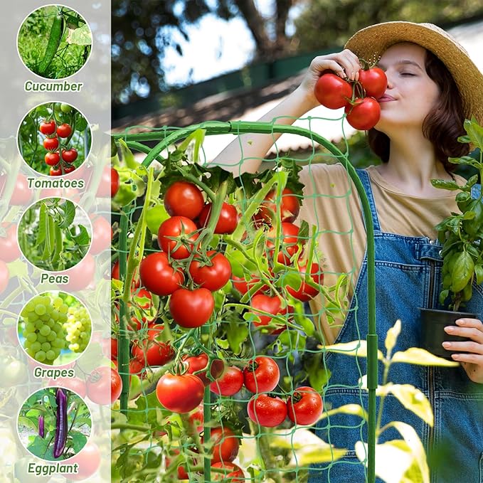 U-Shape Cucumber Trellis with Fabric Raised Garden Bed 65x50 Inch Metal Garden Arch Trellis with Net, Climbing Plants Vegetables Heavy-Duty Outdoor Plant Support for Pea, Grape, Squash, Tomatoes LifeisLuck