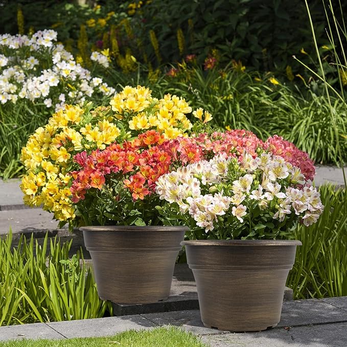 16 inch Plant Pots Outdoor Planters，4 Pack Large Plastic Flower Pot For Indoor Plants With Drainage Holes & Saucer, Resin Decorative Container Sets With Trays For House Outdoor Garden Plant Dark Gold Fodetyff