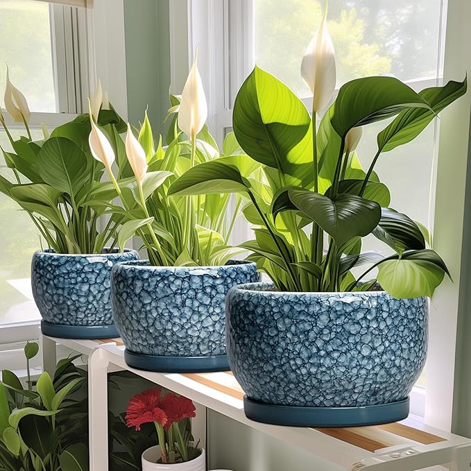 SQOWL Ceramic Pots for Plants - 6 Inch Plant Pot Indoor Outdoor, Ceramic Planter with Drainage Hole and Saucer, Decorative Round Planter, Small Flower Pot, Table Decor, Gifts for Plant Lovers, Blue SQOWL