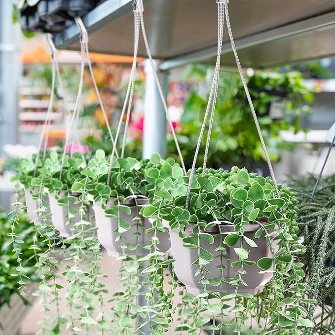 Roshtia 50 Pcs 5.9 inch Plastic Hanging Plant Pots with Hooks Flower Pots Baskets Outdoor Hanging Nursery Planter Holder for Home Garden Balcony Porch(Gray White, 5.9 inch) Roshtia