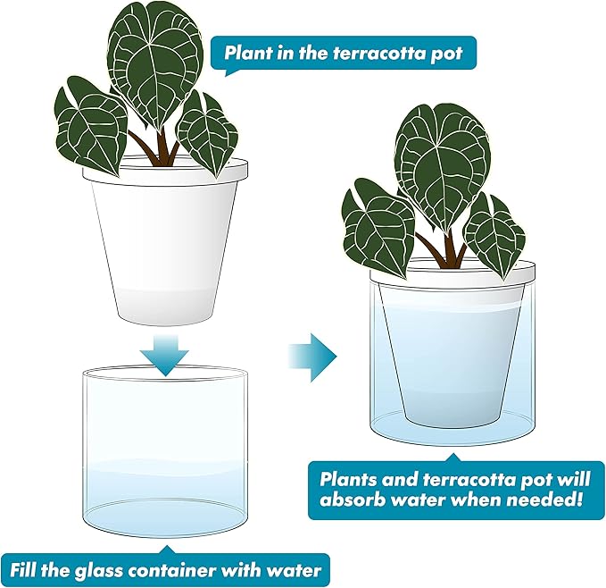 D'vine Dev 6 Inch Design Self Watering Planter for Indoor Plants, White Terracotta Pots with Cylinder Glass Cup, 37-X-B-2 DvineDevPlanterPotsandStand