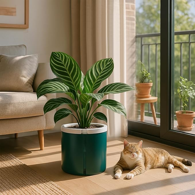 D'vine Dev 8 Inch Design Self Watering Planter for Indoor Plants, White Terracotta Pot with Teal Cylinder Glass Cup, 37-X-C-5 DvineDevPlanterPotsandStand