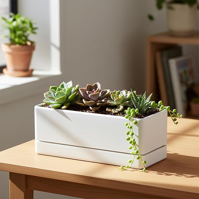 D'vine Dev 12 Inch Window Box Planter, Rectangle Plastic Herb Planter with Drainage Holes and Saucer, Indoor Succulent Cactus Vegetable Pot for Windowsill, Garden Balcony, White, Set of 2, 76-X-A-2 DvineDevPlanterPotsandStand