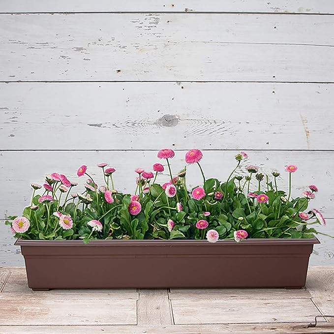 Root & Vessel 16363, Brown, Countryside Flower Box Planter, 36-Inch Novelty