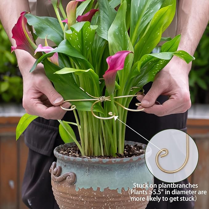 Durable Monstera Plant Support Hooks 5.5in - 5-Piece Set for Indoor Plant Stabilization, Easy-to-Use Grapple Holders for Monstera and Turtle Shell Plants for Plant Lovers Yohsnor
