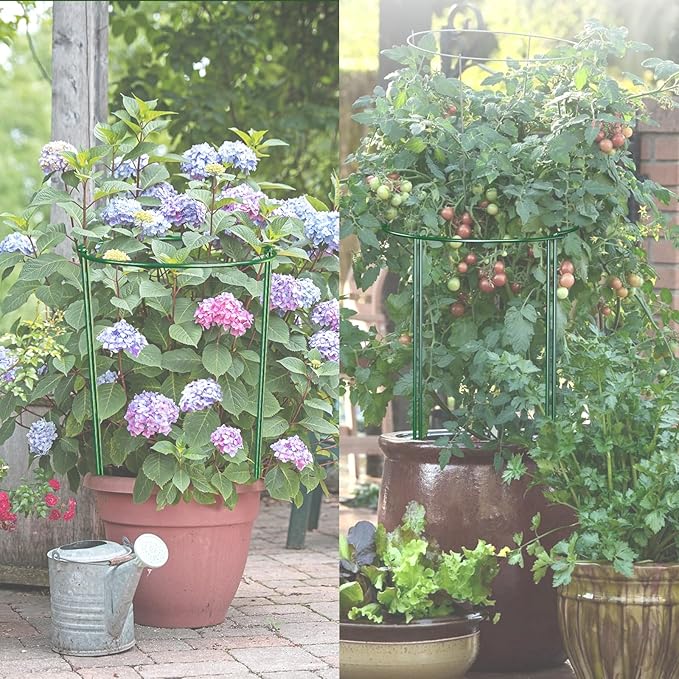 12 Pack Garden Plant Support Stakes, Half Round Peony Cages and Supports, Metal Garden Support Ring, Border Support for Outdoor Indoor Plants, Peony, Hydrangea,Tomato, Monstera LKSSZS