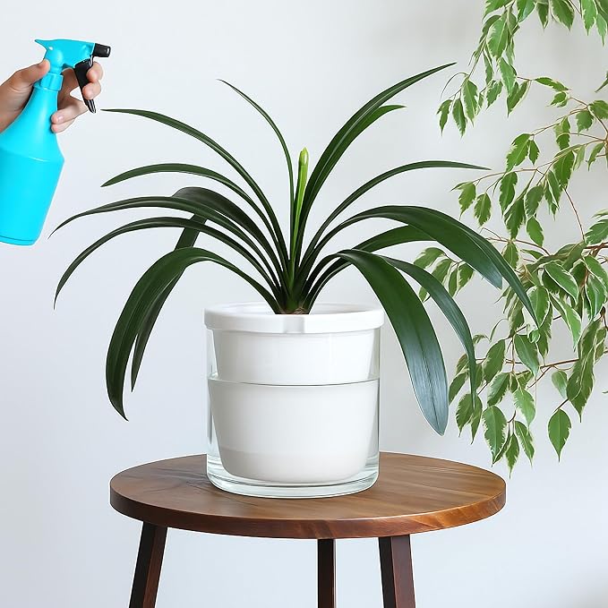 D'vine Dev 10 Inch Design Self Watering Planter for Indoor Plants, White Terracotta Pots with Cylinder Glass Cup, 37-X-D-2 DvineDevPlanterPotsandStand