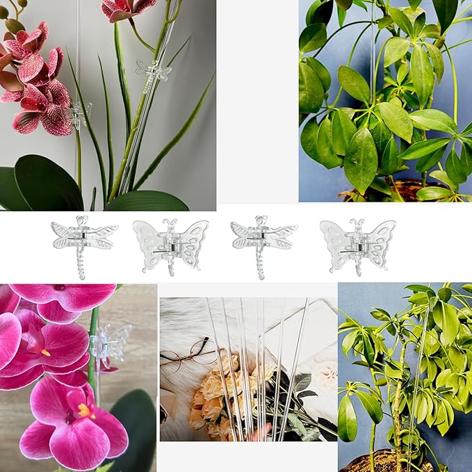 30Pcs Acrylic Plant Stakes Garden Single Stem Plant Support Stakes Clear Orchid Stakes and 30Pcs Clips Plant Support Sticks Clear Dragonfly Orchid Clip for Indoor and Outdoor Plants, Flowers, Tomatoes DAGUANZHI