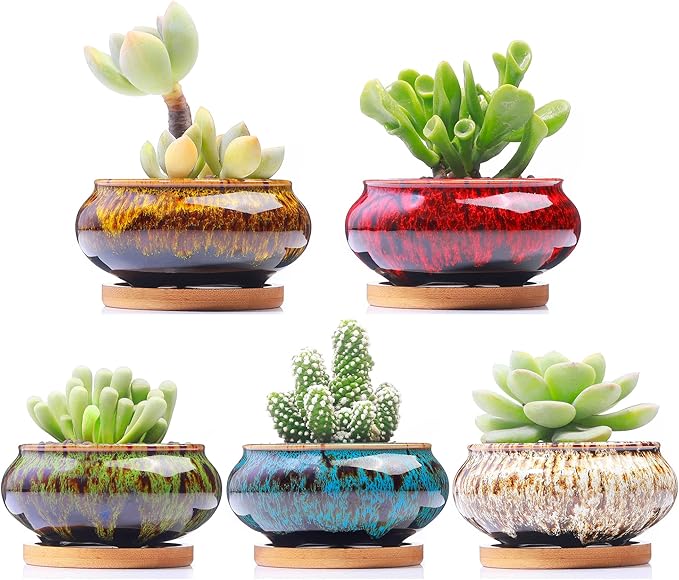 Cute Ceramic Succulent Garden Pots, Planter with Drainage and Attached Saucer, Set of 5 -Plants Not Included (Burner) LamDawn