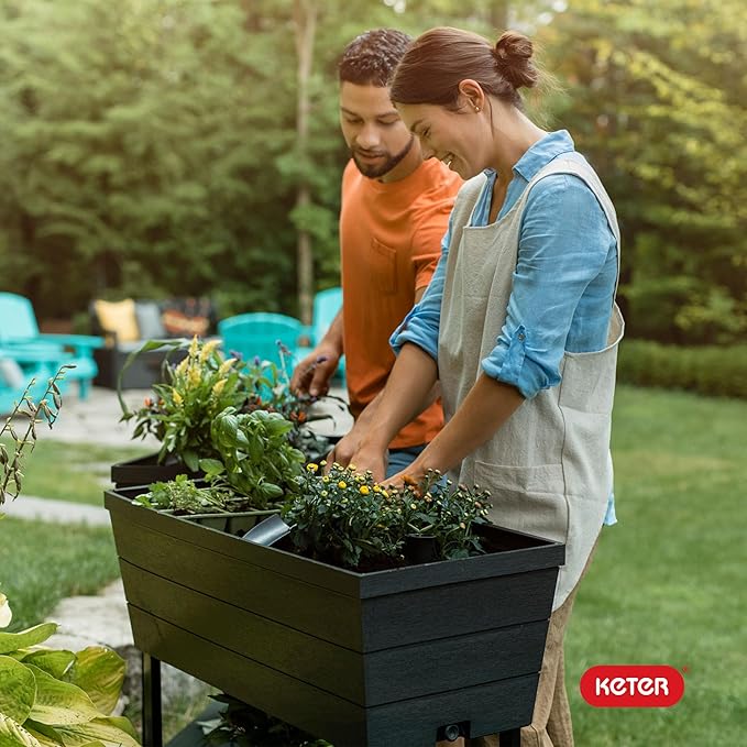 Keter Urban Bloomer 12.7‑Gallon Raised Garden Bed – Elevated Outdoor Planter Box with Self‑Watering Reservoir, Water Gauge & Drainage System, Perfect for Herbs & Vegetables, Dark Grey Keter