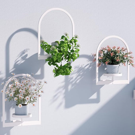 Wall Plant Holder, Wall Planter for Indoor Plants, Window Plant shelves for Multiple Plants Indoor Outdoor, Framed Plant Holder for Home Decor (3 Pack) Flenpptly