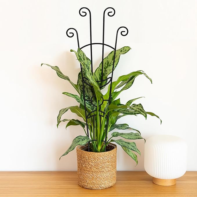 32.6in Plant Trellis for Climbing Plants Indoor, Expandable Large Metal Trellis for Potted Plants, Heavy-Duty Tall Pothos Plant Climber Support for Ivy Pothos Hoya Monstera, 4P Xeeol