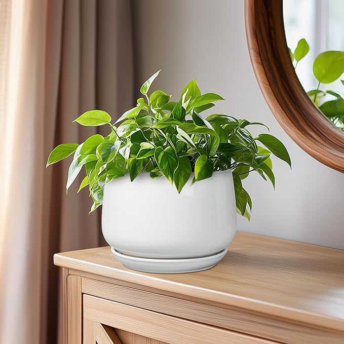 G EPGardening Ceramic Pots for Plants - 6 Inch Planter for Indoor Plants, Flower Pots with Drainage and Ceramic Tray, Modern Office Decor, Gifts for Plant Lovers, White GEPGardening