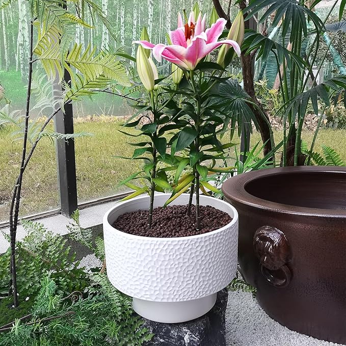11 Inch Ceramic Plant Pots, Planter Pot with Drainage Hole, Honeycomb Ceramic Flower Pot Outdoor Indoor, Large Modern Decorative Planters for Home/Office Plants, White Fzfeiyy