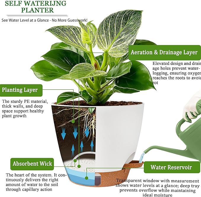Self Watering Pots for Inoor Ourdoor Plants 10/9/8/7/6.5 Inch Plastic Planters with Drainage Holes & Water Level Indicator, Decorative House Flower Nursery Planting Pots with Saucers ((White) Fielda