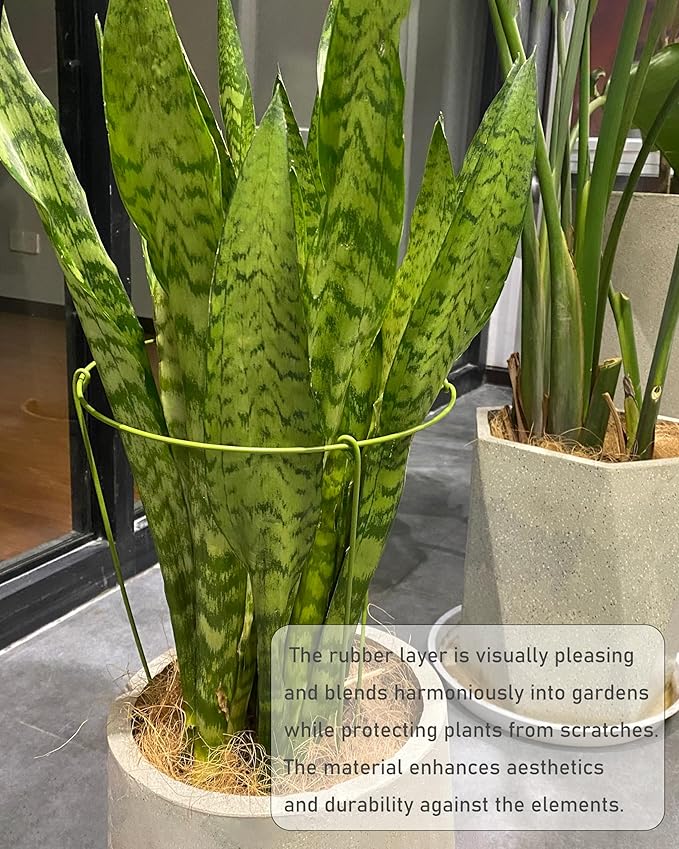 3 Pack Plant Support Stakes, Adjustable Plant Ring Cages with Green Rubber Wrapping, Ideal for Orchids, Indoor and Outdoor Potted Plants, 10" Wide x 17" High Rootora