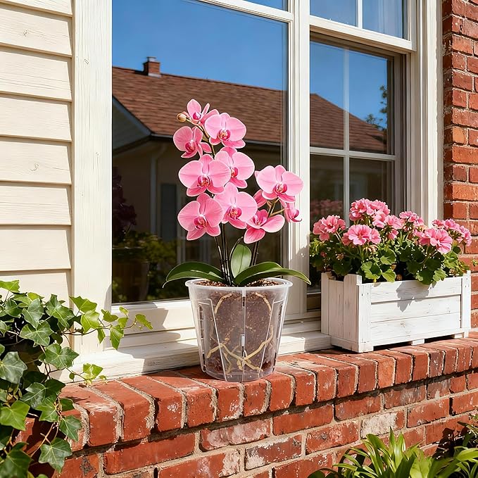 5 Inch Side-Open Orchid Pots 12 Pack, Clear Plastic Nursery Planters with Detachable Side Walls for Easy Repotting, Breathable Slotted Flower Pots with Drainage for Root Health Bluepro
