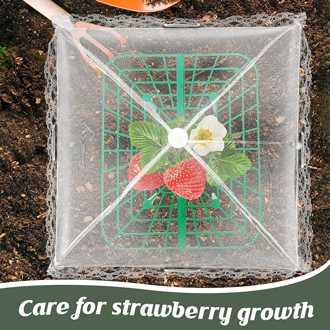 6 Sets Strawberry Plant Support with Mesh Plant Cover,Strawberry Growing Racks Sets with Iron Plant Nails and Storage Bag for Garden Strawberry Vegetables(White Net - Square) Rootora
