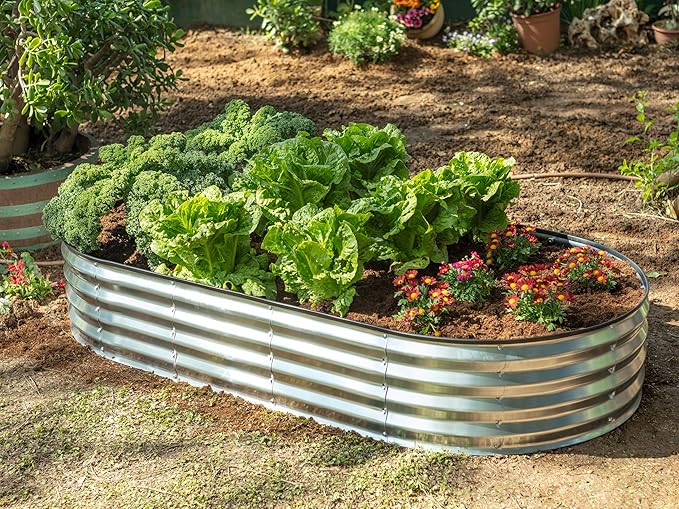 Plant & Plot Galvanized Raised Garden Beds Outdoor // 6×3×1 ft (2-Pack) Planter Raised Beds for Gardening, Vegetables, Flowers // Large Metal Garden Box // Patented Tool-Free Design (Silver) PlantPlot