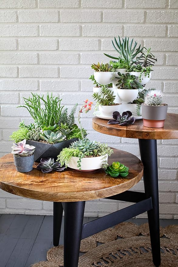 The HC Companies 8 Inch Round Plastic Succulent Capri Bowl Decorative Indoor Flower Succulent Planter Pot with Drain Plug Hole, Faux Concrete Color (2 Pack) TheHCCompanies