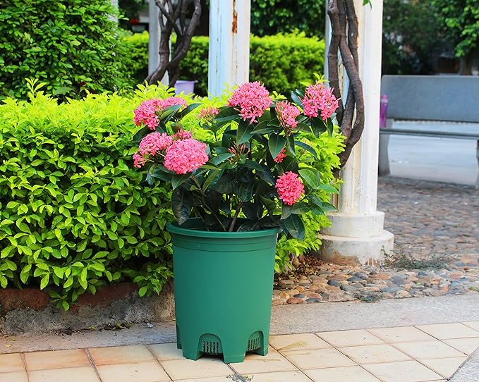 5 Gallon 20-Pack Green Nursery Pot Black Plastic Planters in Bulk with Drainage for Outdoor Indoor Large Plants Trees CottaPlanters