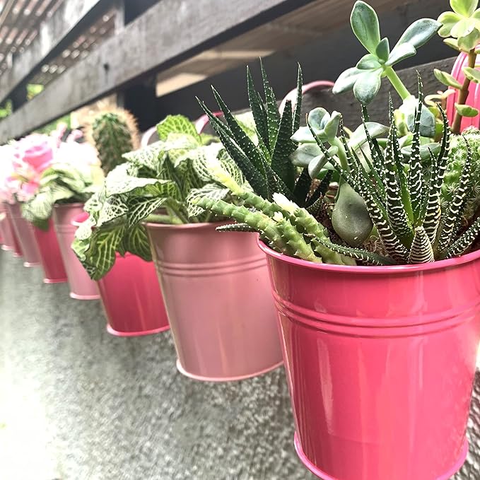 LaLaGreen Railing Planters Outdoor -10 Pack, 4 Inch Metal Hanging Flower Bucket, Small Pink Plant Pot Succulent Indoor Patio Fence Planter Box Balcony Garden Wall Decor Rail Deck Macetas Decorativas L%C3%A1L%C3%A1Green
