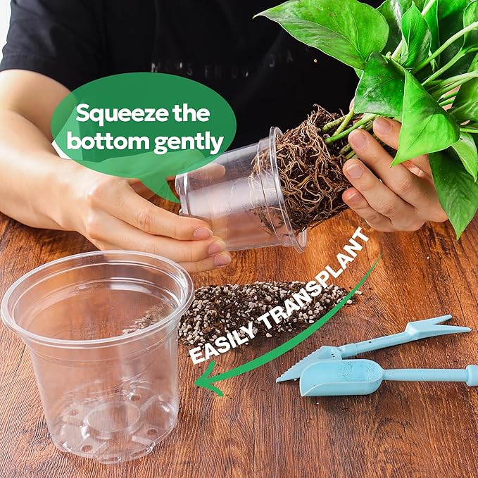 50 Packs 4 Inch Reinforced Clear Nursery Pots with Drainage Holes, Transparent Plastic Plant Pot Seedling Planter for Vegetable Propagation, Root Cutting, Seed Starting Bluepro