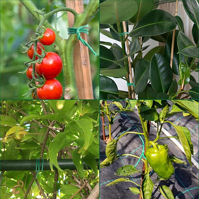 YMHB 120 Feet Green Soft Twist Tie Tomato Plant Tie, Garden Wire Green Twist Garden Ties for Supporting Plants and Home Organizing YMHB