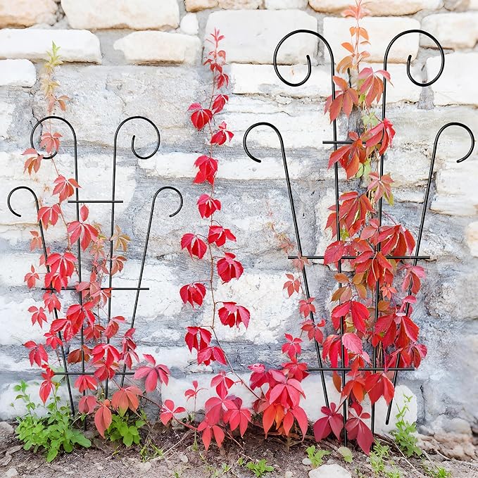 4 Pack 43'' Indoor Plant Trellis for Potted Plants Climbing, Outdoor Metal Garden Trellis Houseplants Flowers Vine Ivy, Wave Shape, Black ThealynGardens