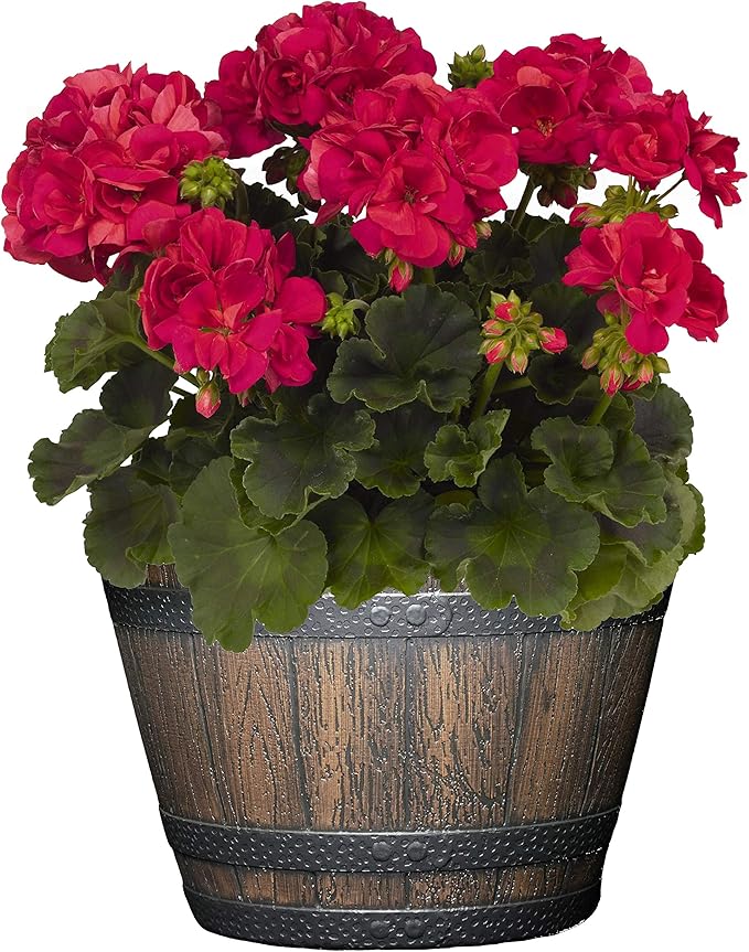 Classic Home and Garden S74CP5D-037R Whiskey Barrel Planter 5 Pack, 9", Kentucky Walnut ClassicHomeandGarden