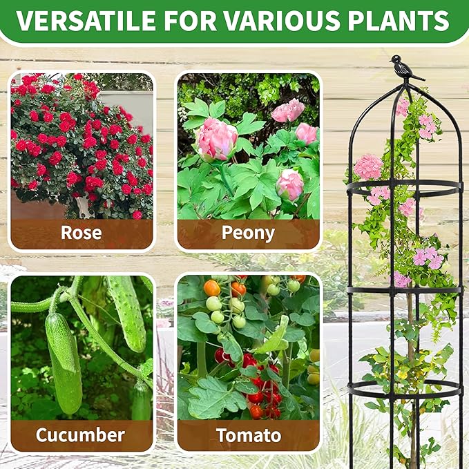 2-Pack 6.7FT Garden Obelisk Trellis for Climbing Plants,81”Metal Plant Support Tower,Heavy Duty Thickened Tube,Rustproof Black Vine & Flower Stand for Outdoor Indoor Use TCBWFY