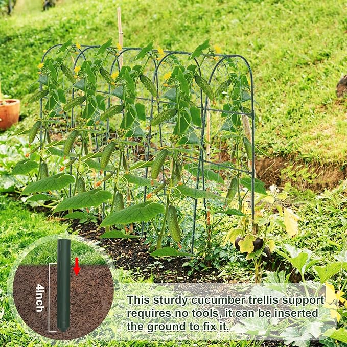 iGreely Cucumber Trellis for Raised Bed, U-Shape Garden Arch Metal Support for Climbing Plants, Metal Arch Vegetables Trellis, Plant Support for Vine (Green, 69.3" L×30" W×47.2" H) iGreely