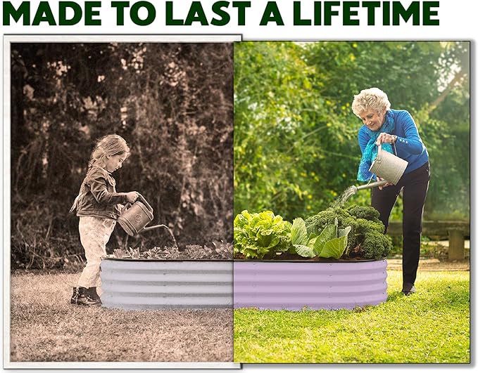 Plant & Plot Galvanized Raised Garden Beds Outdoor // 4×2×1 ft (2-Pack) Planter Raised Beds for Gardening, Vegetables, Flowers (Lavender) // Large Metal Garden Box PlantPlot