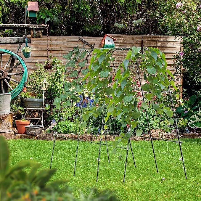 Lalahoni Cucumber Trellis, 65" X 65" Metal Garden Arch Trellis Climbing Plant Outdoor Support for Vine Fruits Flowers Vegetables Peas Beans Squash Cucumber Tomato Raised Bed, with Netting, Lightweight Thereasonyoulovegardening