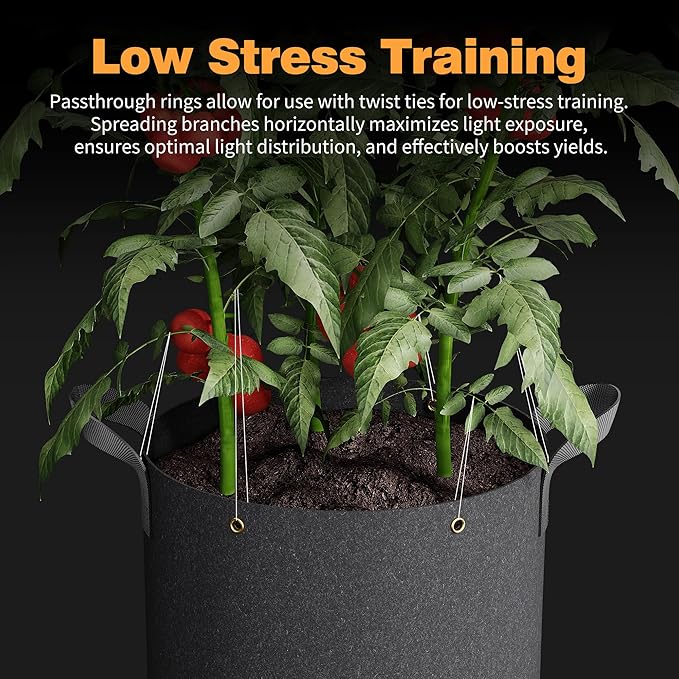 Self-Watering Grow Bags, 5-Pack 5 Gallon 420G Thick Nonwoven Fabric Pots with Reinforced Handles and Multi-Purpose Rings, for Low Stress Plant Training Fruits, Vegetables,and Flowers Patigrow