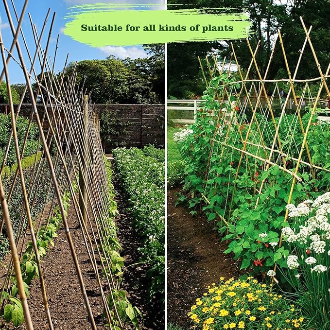 15pcs 3/4" D Thicker Heavy Duty Bamboo Stakes, 7FT Plant Stakes, Natural Garden Stakes for Tomato, Bean, Flowers,Trees Potted and Climbing Plant Support Jollybower