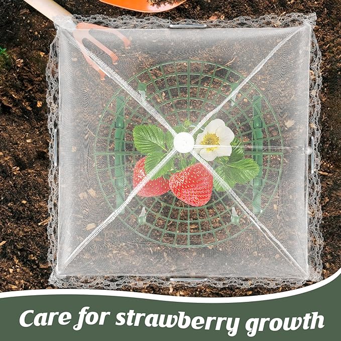 6 Sets Strawberry Plant Support with Mesh Plant Cover,Strawberry Growing Racks Sets with Iron Plant Nails and Storage Bag for Garden Strawberry Vegetables(White Net - Round) Rootora